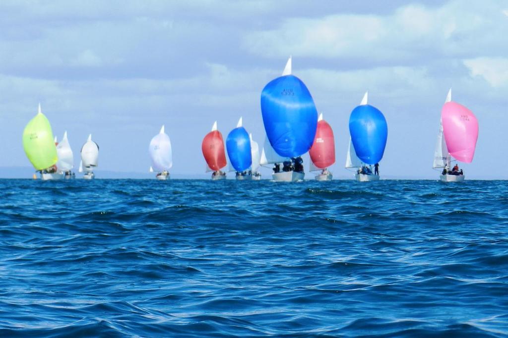 2014 J24 States Day 2 - 2014 Monjon Victorian State J24 Championships © Chris Furey